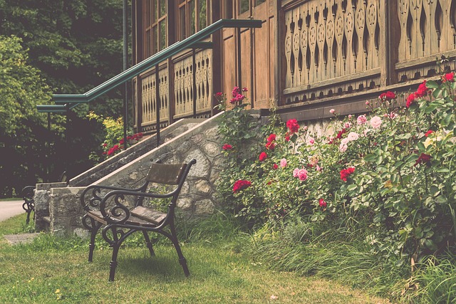 这一理念在 这一理念在