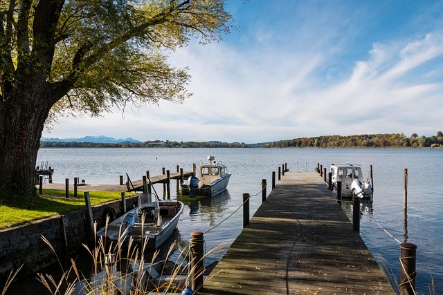 她凭借冷静 她凭借冷静