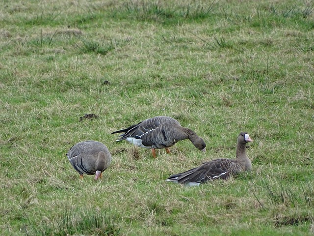 希望和活力 希望和活力