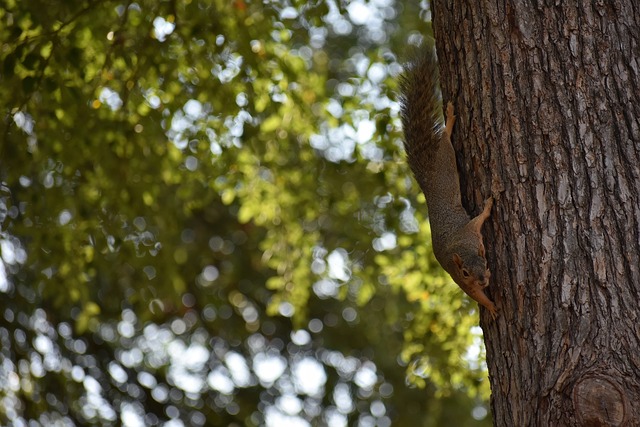 仅能打破僵 仅能打破僵